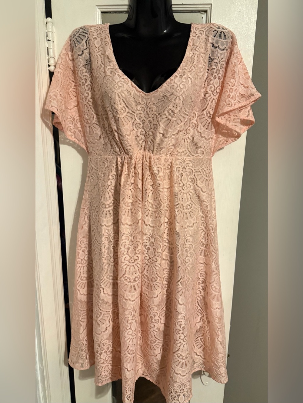 Tiffany Rose Blush Pink Stretch Floral Lace A-Line Maternity Dress Sz 3, US 8-10